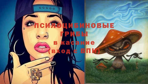 spice Абинск