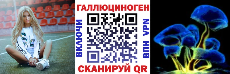 Псилоцибиновые грибы мицелий  Балаково 